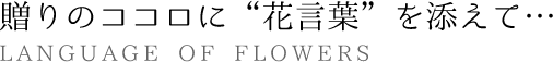 贈りのココロに“花言葉”を添えて、アレンジメントフラワーギフトを贈りませんか？