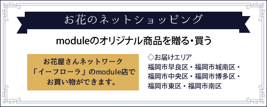 店舗で観葉植物を購入されたいお客様