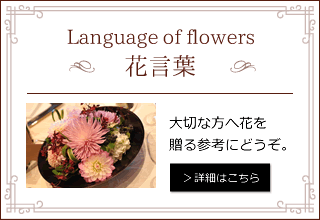 花言葉（花を贈る参考に）