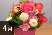 季節の花4月