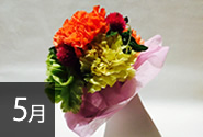 季節の花5月