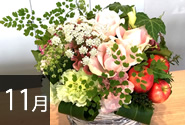 季節の花11月