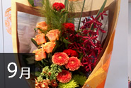 季節の花9月